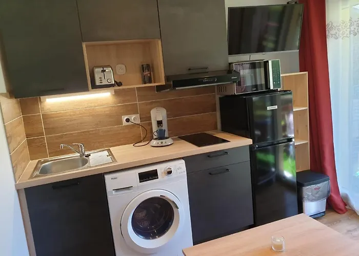 Le 211,ski Et Randonnee, Wifi, Lave Linge , Ascenceur,parking Gratuit شقة بيرنيكس