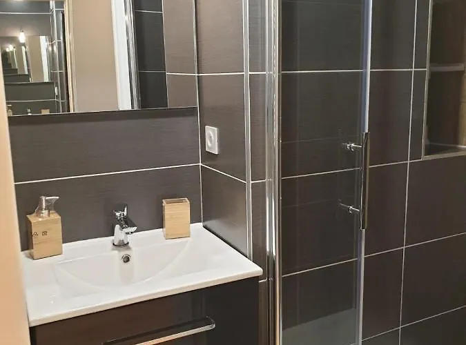 Le 211,ski Et Randonnee, Wifi, Lave Linge , Ascenceur,parking Gratuit شقة بيرنيكس