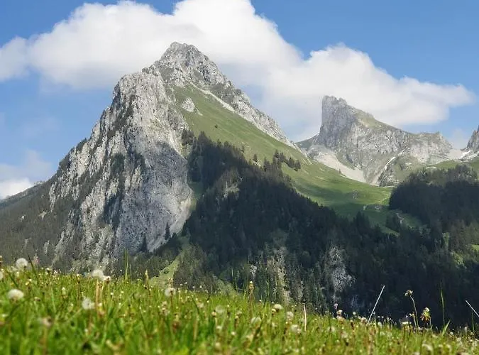 Le 211,ski Et Randonnee, Wifi, Lave Linge , Ascenceur,parking Gratuit شقة بيرنيكس