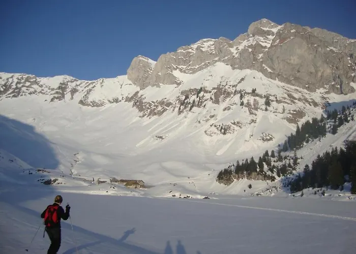 Le 211,ski Et Randonnee, Wifi, Lave Linge , Ascenceur,parking Gratuit *